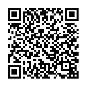 似乎并没有公开这么多权贵子弟弄虚作假罪名的打算二维码生成