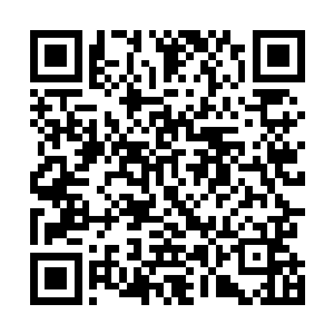 似乎并没有感受到前世游戏里初次踏入至高丛林时的震撼二维码生成