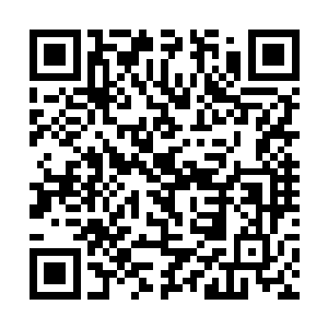 似乎很有底气的样子――好像是个很厉害的有家伙吧二维码生成