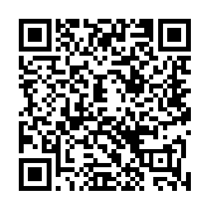 似乎忘了是谁帮助他们夺取了上百万平方公里的诺大地域二维码生成