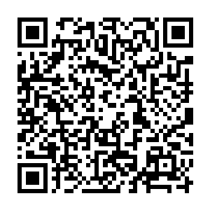 似乎怎么也不明白为什么方才还被他压制着打的少年竟然会忽然变得这么强大二维码生成