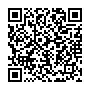 似乎恨不得冲上来将秦方拔个干净也要把丹药找出来似的二维码生成