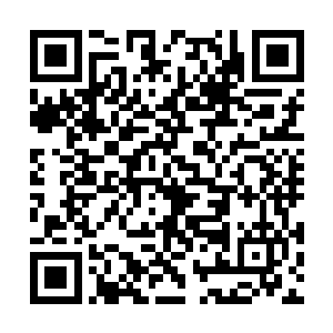 似乎想弄清楚刚才所见的大劫景象究竟是怎么回事二维码生成