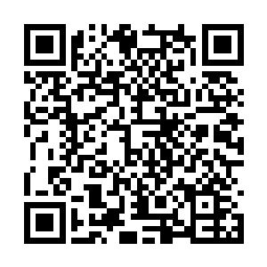 似乎想看看眼前这位真人跟电视里演的有什么区别二维码生成