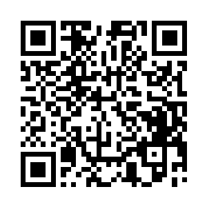 似乎想要守住阵地好让更多的同伴从这里上来二维码生成