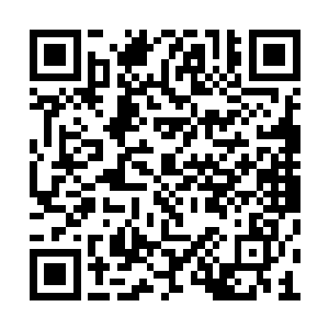 似乎想试一下这棉花糖一样的筋斗云有不有弹性二维码生成