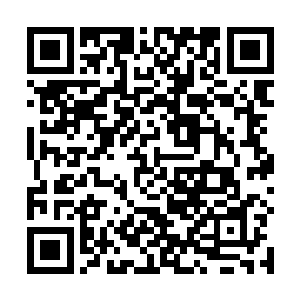 似乎所有人都在为林辰获得了钻石徽章而感到震惊无比二维码生成