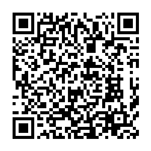 似乎所有的狗都在想冲出来给这个不认相一脸嘲讽的可恶胖子来上一口二维码生成