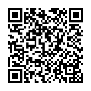 似乎所有的秘社分子都已经知道他们打开了包围的缺口二维码生成