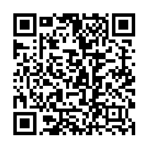 似乎是一号星辰里有让他感到非常不舒服的人或者事二维码生成