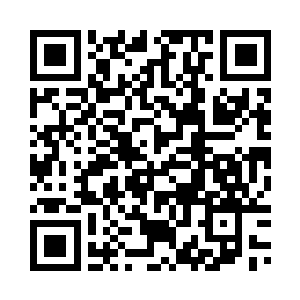 似乎是为黑手党内大型议会准备的二维码生成