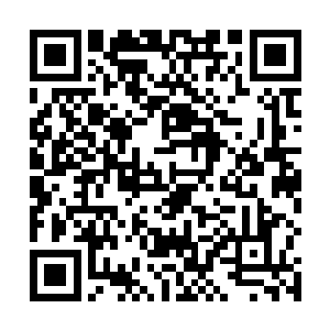 似乎是反复使用的标准技术动作和原技能的相似度越高二维码生成