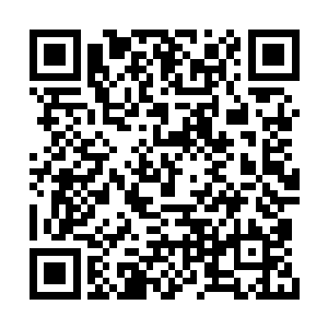 似乎是听到了他昨晚在视频里与雷泽交代的内容二维码生成