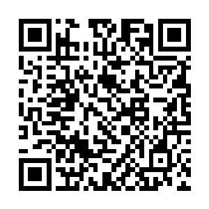 似乎是很害怕天道会听从自己的出手去阻止那个青年二维码生成