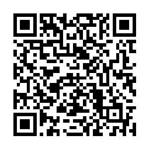 似乎是感觉到了辟寒大王鲜血之中蕴含的强大力量二维码生成