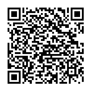 似乎是打给曲家老爷子和弟弟曲振宇的……秦方一直在忙碌着手上的事情二维码生成