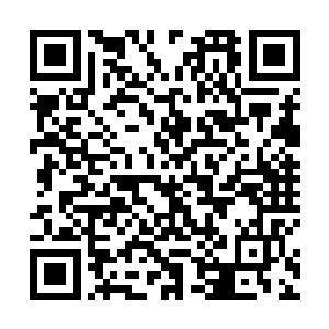 似乎是有人告诉她只要杀了黄埔云就可以把她送回华夏二维码生成