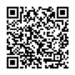 似乎是注意到马文的视线停留在荆棘的六个成员上二维码生成