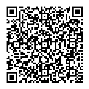 似乎是给鱼价直接打了个兴奋剂今天所有的日本附近产的北太平洋金枪鱼的价格再一次的应声而涨二维码生成