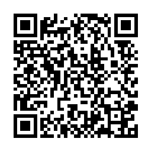 似乎是被突然出现的血妖姬之力乃至吞噬之力给惊了二维码生成