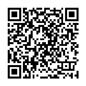 似乎有别的读者也对梦旅人这番话表达了很严肃的质疑二维码生成