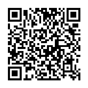 似乎有夸大郭氏夫妇的缺憾之嫌――生下这样的不肖子女二维码生成