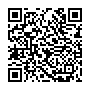 似乎根本就对这一黑一白的两道灵光没有丝毫作用二维码生成