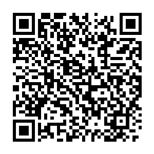 似乎根本就没有将孙子轩之前一小时四十七分钟的治疗时间放在眼里二维码生成