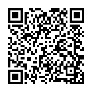 似乎正有一头妖兽在遭遇什么令它极度愤怒发狂的事情二维码生成