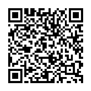 似乎没人能阻拦杨辰要做什么事――如果是他真已经决定了的二维码生成