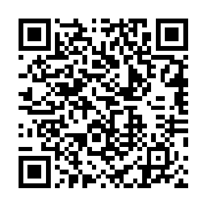 似乎没想到一个半步主宰强者能够释放出如此强大的绝招二维码生成