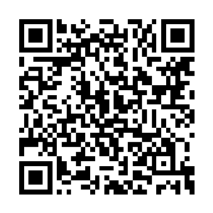 似乎没想到凌霄阁这种小地方居然还有如此人才二维码生成