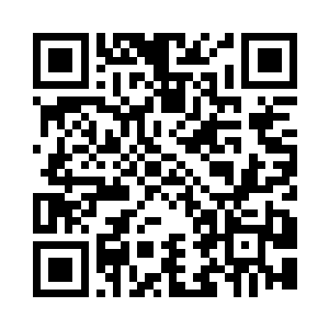 似乎没有任何东西会打扰在这个地方来二维码生成