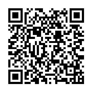 似乎没有想到南宫璟宸背叛的种子是在那一刻埋下二维码生成