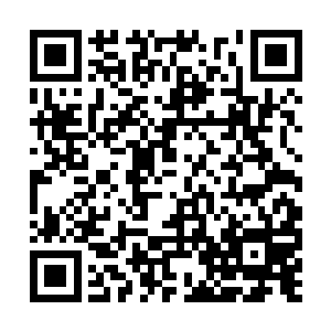 似乎炼骨族在古早就已经尝试过使用这种融合能量二维码生成