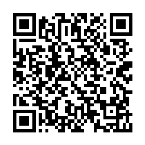 似乎生怕他看出了她刚才内心中浮过的那丝想法二维码生成