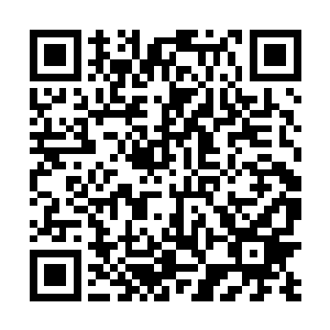 似乎纯粹就是要挑起龙方做出这样冲动的反应似的……二维码生成