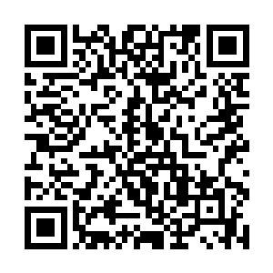 似乎自己追逐了这么多年的愿望竟然在这一刻实现了二维码生成