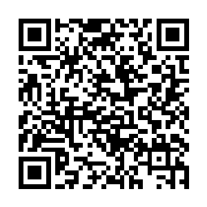 似乎血魔宗将来能够获得猎海大战第一名的机会最大二维码生成