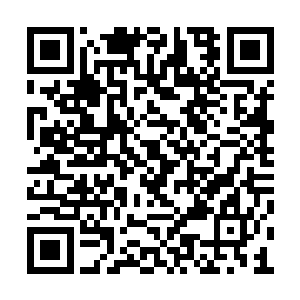 似乎要分辨出眼前之人究竟是紫宵剑宗的少宗主二维码生成