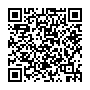 似乎要将遮蔽在天空中的红色帷幕撞出一个窟窿来二维码生成