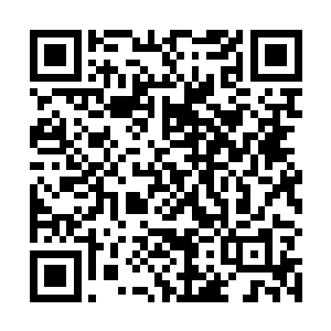 似乎觉得自己的手刚才和那个白人男子的拳头碰了一下二维码生成