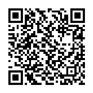 似乎觉着金浩民抓着轮椅推手的举动非常古怪一样二维码生成