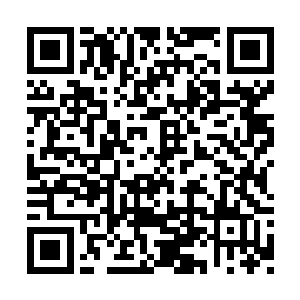 似乎跟他老爹秦天楠到欧洲的时间太接近了……二维码生成
