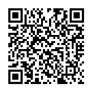 似乎还从未有过能够如同他那般行云流水撼动大鼓之人二维码生成