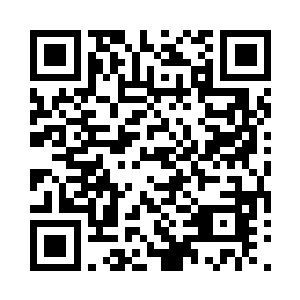 似乎还是第一个享受主人的专人服务的啊二维码生成