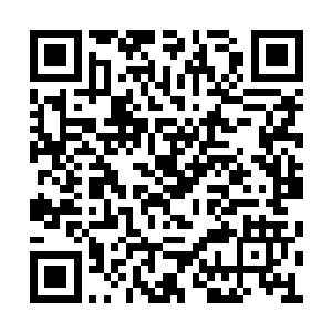 似乎这世间的嘈杂声响都尽数被雨水给冲刷掉了二维码生成