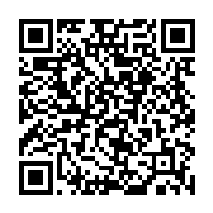 似乎这就是之前狼皇说这红尘莫问夷平一座妖山的事二维码生成