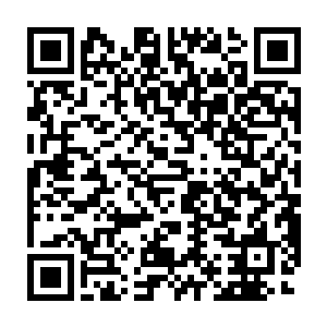 似乎这样就没有人能够通过他们摸到那座中央最豪华最大的别墅里二维码生成