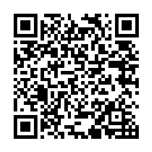 似乎这还远远没有将这块巨型蛮荒神石完全挖出来……二维码生成